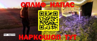 прущие грибы Волжский
