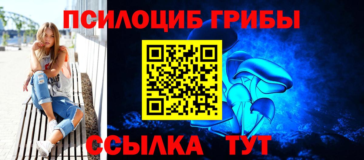 Псилоцибиновые грибы Magic Shrooms  Галлюциногенные грибы мухоморы  продажа наркотиков  Киреевск  Вход с VPN 