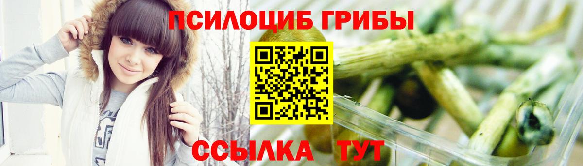 Галлюциногенные грибы MAGIC MUSHROOMS Киреевск